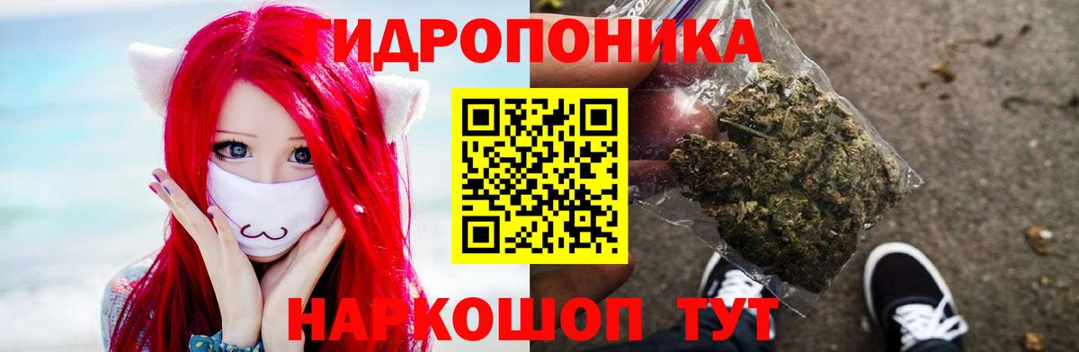 Бошки Шишки Горно-Алтайск